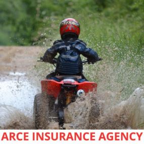 David Arce - State Farm Insurance Agent