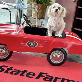 Rick Babusiak - State Farm Insurance Agent