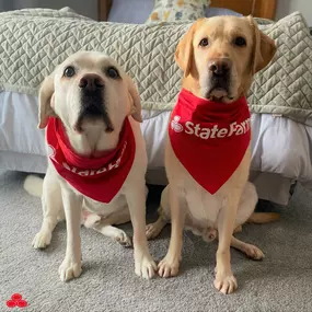 Rick Babusiak - State Farm Insurance Agent