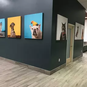 Bild von Gulf Coast Veterinary Specialists (GCVS)