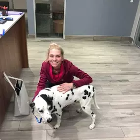 Bild von Gulf Coast Veterinary Specialists (GCVS)