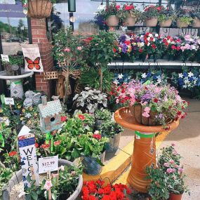 Our garden plants are here!! Stop by the store to pick out something for your home or for Mother’s Day!! We can’t wait to see you!