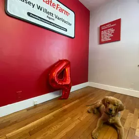 Interior of our agency with our team mascot!