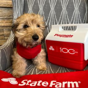 Tyler Little - State Farm Insurance Agent