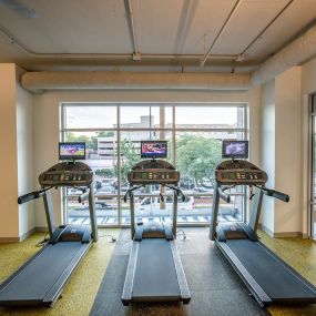 Cardio Machines In Gym