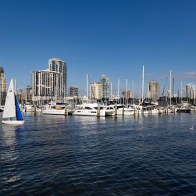 View of Yacht Basin and the city of St. Petersburg, FL near Camden Central and Camden Pier District apartments
