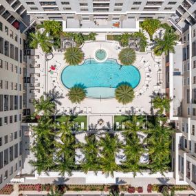 Drone view looking down on gorgeous pool lined with palm trees at Camden Central Apartments in St. Petersburg, FL.