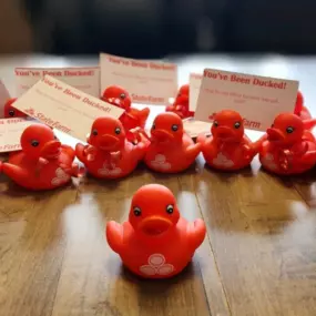 YOU'VE BEEN DUCKED! Keep an eye out for these little guys. We'll be 