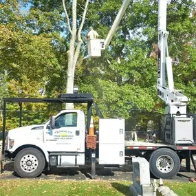 Bild von Tennett Tree Services Inc