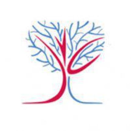 Logotipo de Sarasota Vascular Specialists