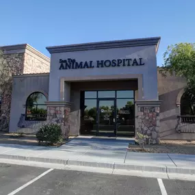 Bild von San Tan Animal Hospital