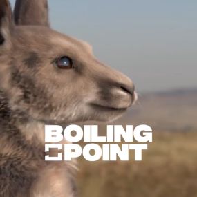 Bild von Boiling Point Media