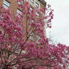 Bild von The Culver Hotel