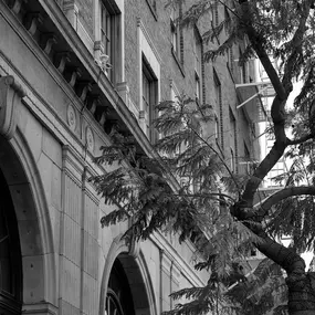 Bild von The Culver Hotel