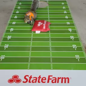 Bild von Mike Massaglia - State Farm Insurance Agent