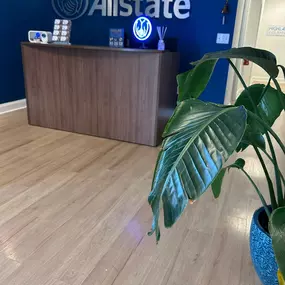 Bild von Mariana Fernandez: Allstate Insurance