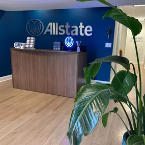 Bild von Mariana Fernandez: Allstate Insurance