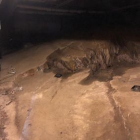 BioClean of West Haven CT basement inspection