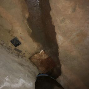 BioClean of West Haven CT basement mold remediation