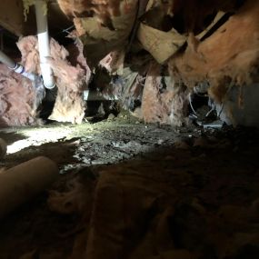 BioClean of West Haven CT crawlspace mold