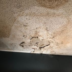 BioClean of West Haven CT ceiling mold
