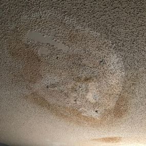 BioClean of West Haven CT mold growth