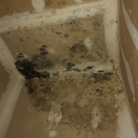 BioClean of West Haven CT mold