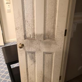 BioClean of West Haven CT mold removal