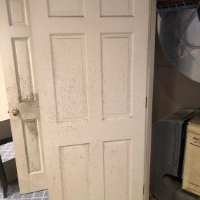 BioClean of West Haven CT water damage