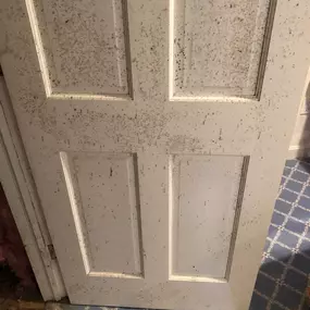 BioClean of West Haven CT door mold