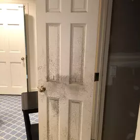 BioClean of West Haven CT mold on door