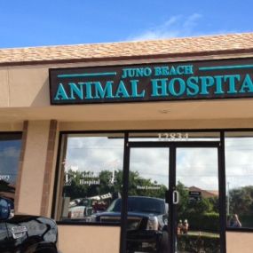 Bild von Juno Beach Animal Hospital