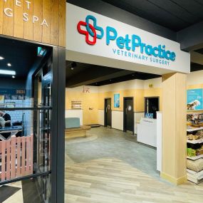 Pet Practice Rustington Interior