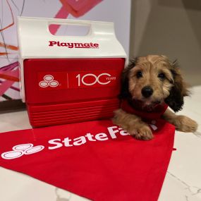 Jeff Coleman - State Farm Insurance Agent - Furry friend