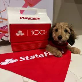 Jeff Coleman - State Farm Insurance Agent - Furry friend