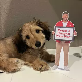 Jeff Coleman - State Farm Insurance Agent - Furry friend