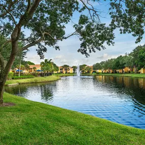 Bild von Forest Pointe