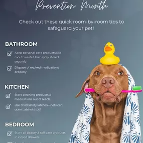 Pet safety starts at home! From the bathroom to the kitchen, everyday items can be dangerous for your furry friend. Take a minute to pet-proof your home and keep those tails wagging! Are you and your pet prepared for emergencies? Let’s talk about insurance for your good boys and girls.