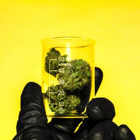 Cannabis Industry Occupational Health and Safety Services