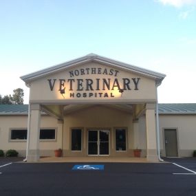 Bild von Northeast Veterinary Hospital