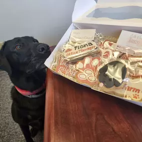 Fiona loves her customers! Thank you Denise & Richard! Did you know State Farm insures bakers? Even dog treat bakers! Call Nicole Hibbard State Farm today!