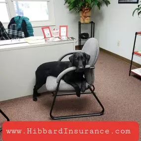 Bild von Nicole Hibbard - State Farm Insurance Agent