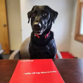 We love all of our customers.. Even the furry ones! Give our State Farm office a call today for a free quote!