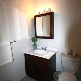 Bathroom with Mirror and Sink