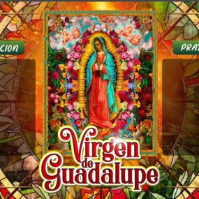 Botanica Creencia Mística - Virgen de Guadalupe
