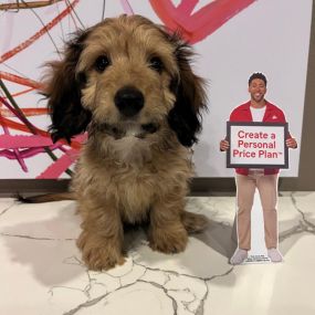 Meredith Baldridge - State Farm Insurance Agent - Furry friends