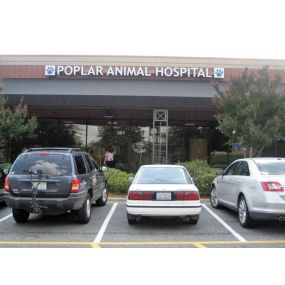 Bild von Poplar Animal Hospital