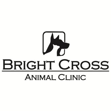 Logo from Bright Cross Animal Clinic