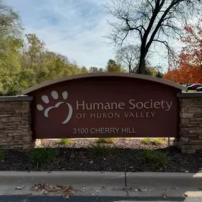 Happy National Make a Dog’s Day!
Today, we had the pleasure of delivering donations from our Make a Dog’s Day fundraiser to the Humane Society of Huron Valley! It was heartwarming to meet so many adoptable pups and learn about the amazing work they do. Together, we are making a difference for these dogs! A community spotlight video will be posted tomorrow with more information about HSHV.

How did you make your dog’s day today? Share a comment or photo.