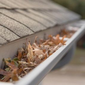 Bild von Premier Gutter Services LLC